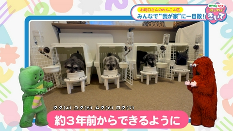 ガチャピン・ムック ねぇねぇきいて 第13回 わんこ4匹！お利口にご飯を食べます！