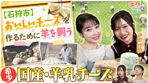キタコイ 伊勢鈴蘭、羊乳ブルーチーズ石狩