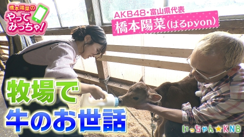 橋本陽菜のやってみっちゃ！ AKB48はるpyon×牧場