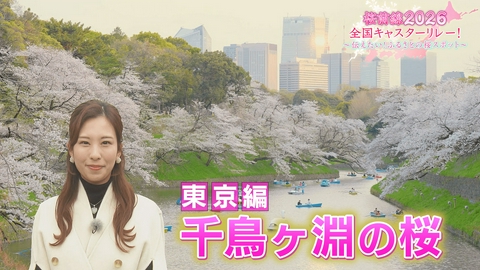 桜前線2026 全国キャスターリレー！ ～伝えたい！ふるさとの桜スポット～ 東京編「千鳥ヶ淵の桜」