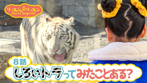 リッスン♪リッスン Hello English！ ♪８　しろいトラって みたことある？