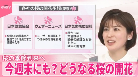 日テレNEWSセレクト 【なるほどッ！】今週末にも？どうなる桜の開花