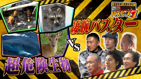 迷惑生物から住民を守れ！凄腕！危険生物バスターズ 危険生物バスターズ7★猛毒スズメバチ＆謎の迷惑生物VS凄腕バスターSP