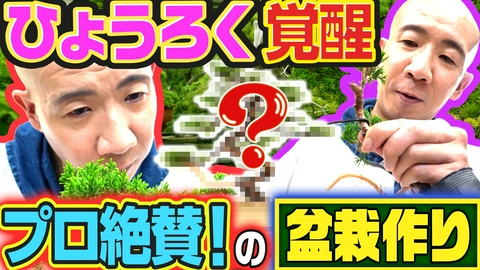 変態植物倶楽部 盆栽デビュー作！ひょうろく第1号が誕生