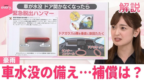 日テレNEWSセレクト 【#みんなのギモン】千葉豪雨で多くの放置車両…追突事故も 車水没の備え…補償は？