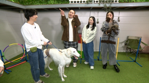 いぬじかん 愛犬と思い出作りができるドッグイベントに潜入！話題のお散歩ワンコ