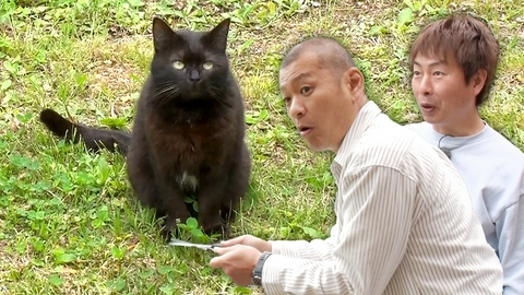 ねこ自慢 U字工事が南房総のニャンコに会いに行く！すご腕キャットシッターに密着