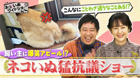 ネコいぬワイドショー 飼い主に爆笑アピール！ネコいぬ猛抗議ショー/過酷な多頭飼育崩壊の現場で生き残った「かすみ」の奇跡
