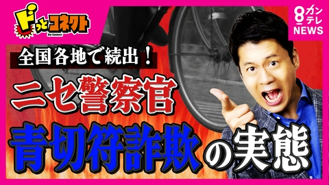 ドっとコネクト 【注意】信号無視で1万5000円!?「今払わないと捕まるよ」ニセ警察“青切符詐欺”が全国各地で続出　ルール周知不足が原因？騙されないためには
