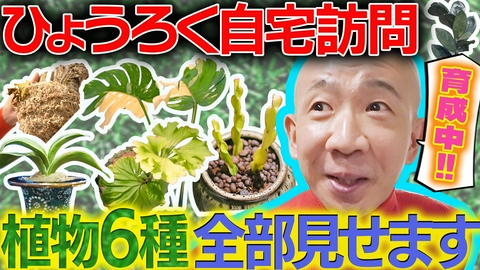 変態植物倶楽部 再突撃！ひょうろく宅の植物たちは…？