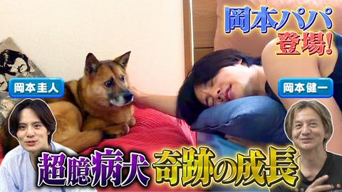 坂上どうぶつ王国 岡本圭人超ビビり犬と人馴れ合宿第2弾！