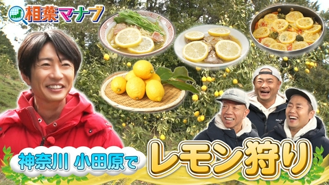 相葉マナブ マナブ！旬の産地ごはん～レモン～