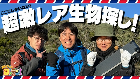 所さんの目がテン！ 桝太一興奮・タスマニアにのみ生息の恐竜時代の姿残す激レア生物