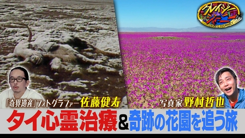クレイジージャーニー 大好評！クレイジーアーカイブで奇界遺産・佐藤健寿の観たい映像とは？＆砂漠に突如現れる奇跡の花園を撮る・野村哲也
