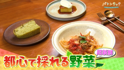バトンタッチ　SDGsはじめてます 都心で持続可能な農業を 「ハスネファーム」　冨永悠さん