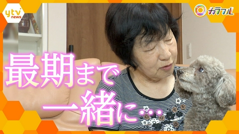 厳選！ytvニュース特集 愛する“家族”と、最期の時まで…人にも動物にも寄り添うペット共生型老人ホーム