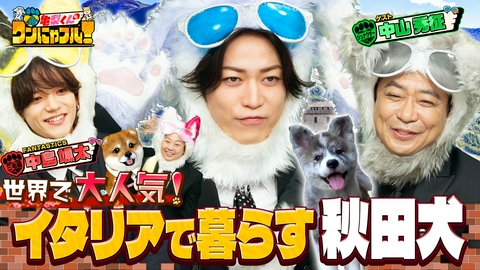 亀梨くんのワンにゃフル！ 【未公開トーク付】MC：亀梨和也！【なぜ世界で秘境で日本犬？】イタリア秋田犬＆群馬の山奥食堂犬