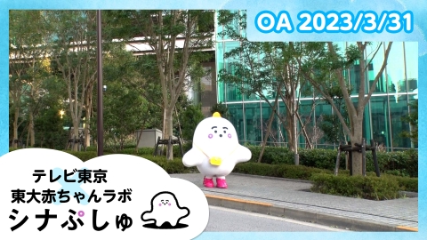 シナぷしゅ