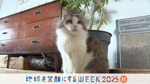 ねこ自慢 高城れにが子猫にミルクをあげる体験に挑戦！自宅で出来る健康チェックも