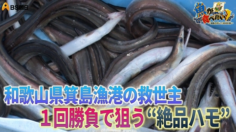 魚が食べたい！ ～地魚さがして3000港～ 黄色い船団が狙う魚とは？リヤカーでセリ？