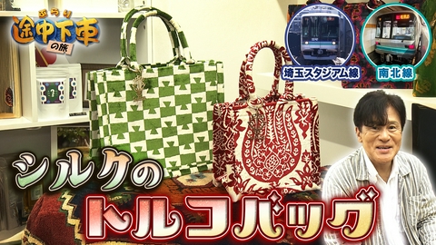 ぶらり途中下車の旅 埼玉スタジアム線・南北線／橋本じゅん