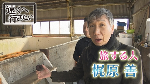 遠くへ行きたい 【梶原善が香川へ】完熟レモンに絶品ウニ！名物極太うどん！