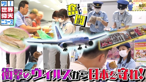 ザ！世界仰天ニュース 衝撃のウイルスから日本を守れ！
