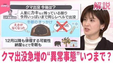 日テレNEWSセレクト 【#みんなのギモン】クマ出没急増の“異常事態”いつまで？ ブナの実不作に加え他の要因も…