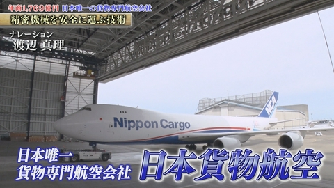 知られざるガリバー～エクセレントカンパニーファイル～ 精密機械から競走馬まで海外へ！空の物流を支える日本唯一の国際貨物専門航空会社 日本貨物航空