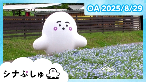 シナぷしゅ シナぷしゅ公式25/08/29