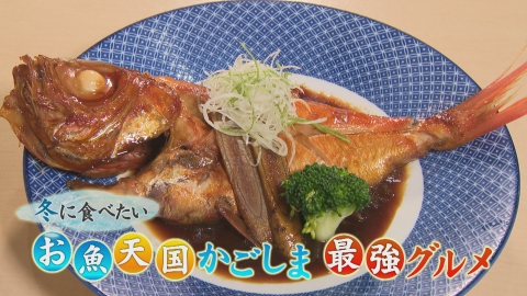 どーんと鹿児島 冬に食べたい　お魚天国かごしま最強グルメ