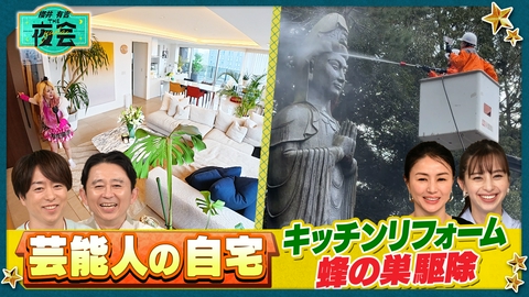 櫻井･有吉THE夜会 芸能人の大掃除＆キッチンリフォーム2時間SP（配信限定映像付き）