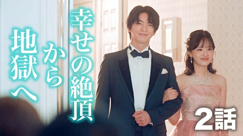 もう1度夫婦になりますか？～カモフラージュ夫婦～