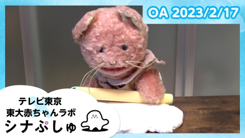 シナぷしゅ