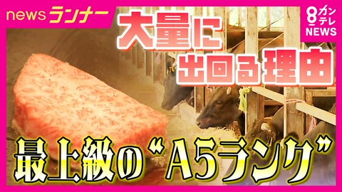 newsランナー いまや『A5』が当たり前!?「エサをマニュアル通りにやると100%出る」　憧れの「A5ランク」和牛に異変の理由は？　「A5の特別感はない」と精肉店関係者