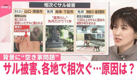 日テレNEWSセレクト 【なるほどッ！】サル被害 各地で相次ぐ…原因は？ 背景に“空き家問題”も