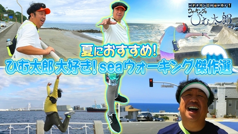 バナナマン日村が歩く！ ウォーキングのひむ太郎 ひむ太郎大好き 今年の夏も行きたい！ Seaコースをウォーキング