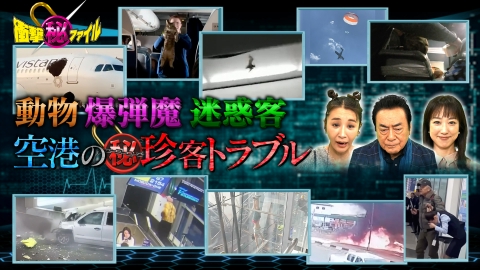 世界が騒然！本当にあった(秘)衝撃ファイル 衝撃映像