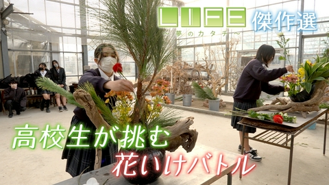 LIFE～夢のカタチ～ 即興で生け花の出来を競う「花いけバトル」…５分間にかける女子高生に密着！
