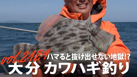 THEフィッシング ハマると抜け出せない地獄！？大分カワハギ釣り