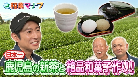 相葉マナブ 日本一のかごしま茶作りをマナブ！