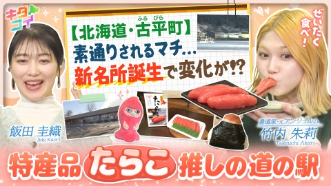 キタコイ 飯田圭織、たらこミュージアム！