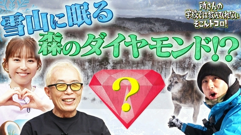 所さんの学校では教えてくれないそこんトコロ！ 遠距離通学＆ホームセンター＆激レア食材