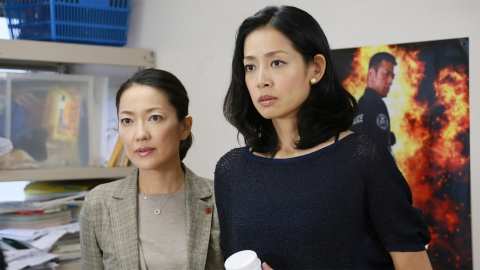警視庁捜査一課9係 season8 2013年放送 第8話「殺人スタント」｜ドラマ