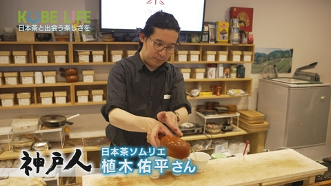 KOBE LIFE ＃１１１ 日本茶ソムリエ・植木佑平さん