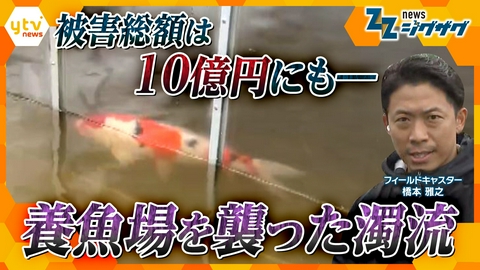 サタデーLIVE ニュース ジグザグ 印旛沼決壊で養魚場に大打撃 被害総額は１０億円にも　復旧への課題【ニュース ジグザグ】