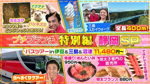 プチブランチ 6月17日(火)放送分 【静岡バスツアーSP】明太子グルメ&大