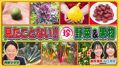 ナニコレ珍百景 7月27日(日)放送分 見たことない!?日本の珍野菜