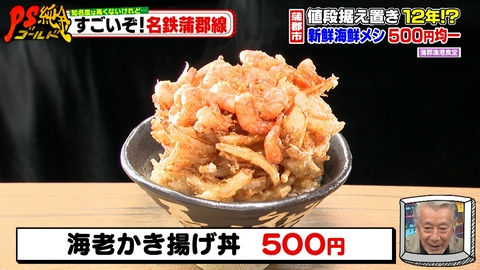PS純金 知名度は高くないけれど…すごいぞ！名鉄蒲郡線