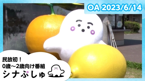 シナぷしゅ